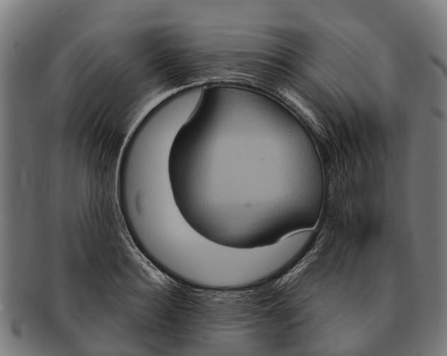 X0000091640940200709131428