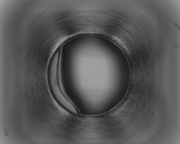 X0000091640942200709131428