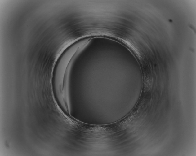 X0000091640943200709131428