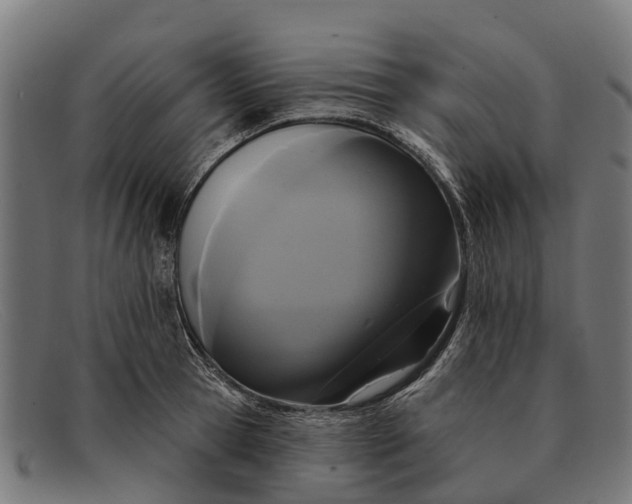 X0000091640945200709131428