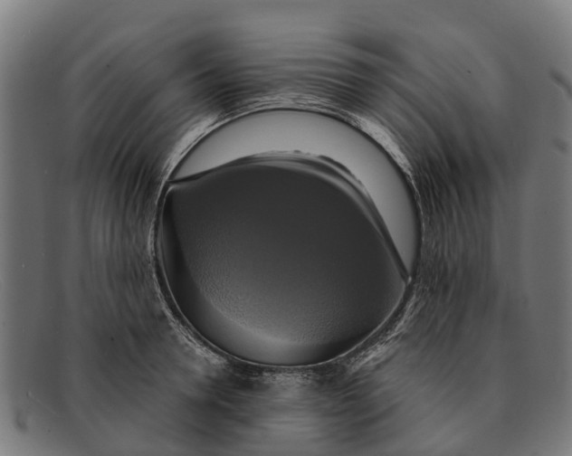 X0000091640946200709131428
