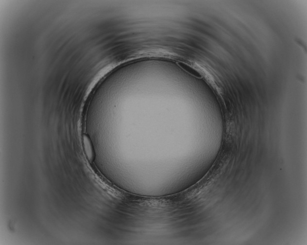 X0000091640947200709131428