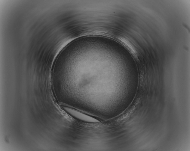 X0000091640948200709131428