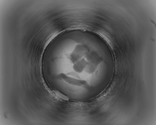 X0000091640949200709131428