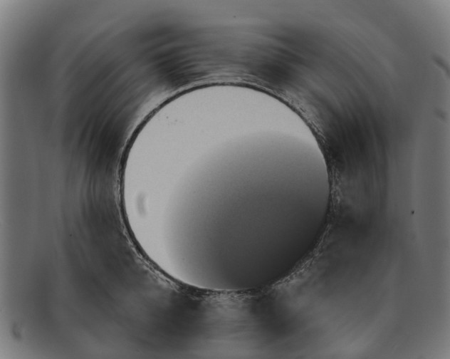 X0000091640950200709131428