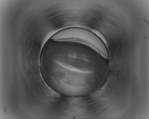 X0000091640951200709131428