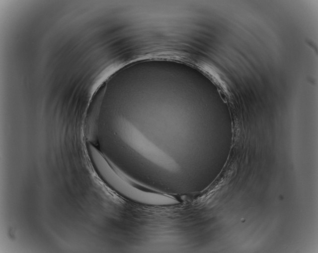 X0000091640952200709131428