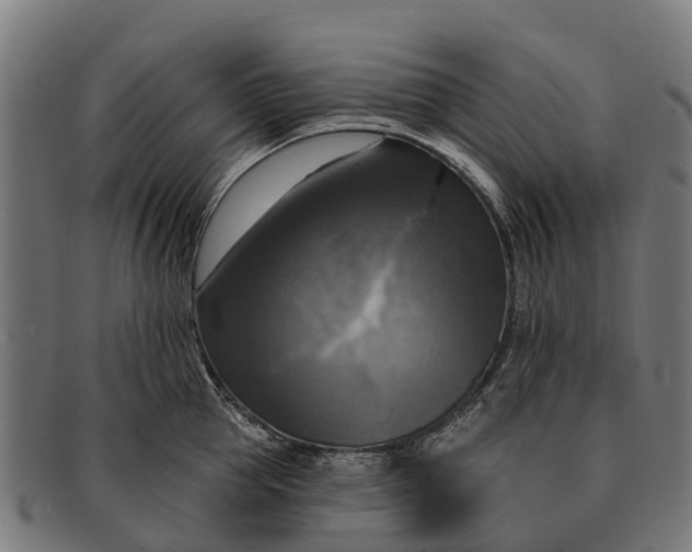X0000091640953200709131428