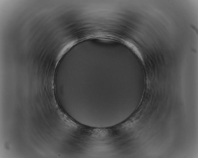 X0000091640954200709131428