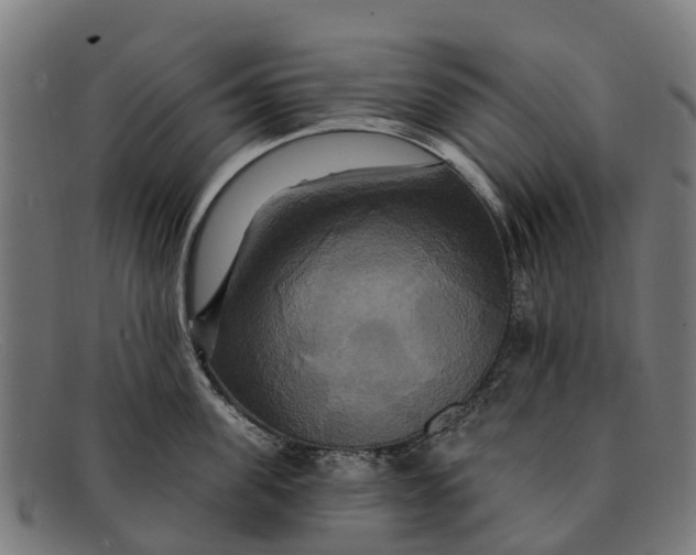 X0000091640955200709131428