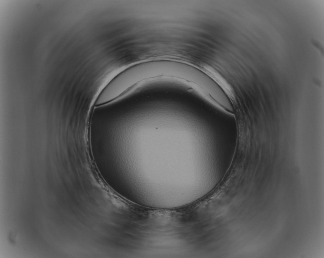 X0000091640956200709131428