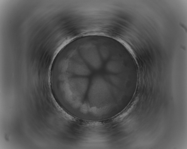 X0000091640957200709131428
