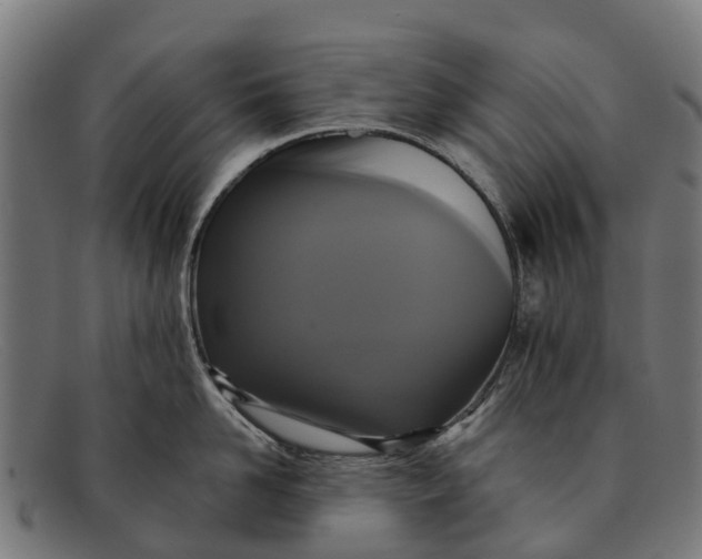 X0000091640958200709131428