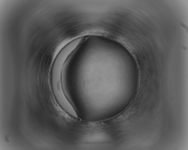 X0000091640960200709131428