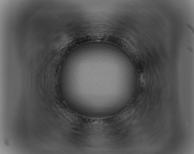 X0000091640961200709131428