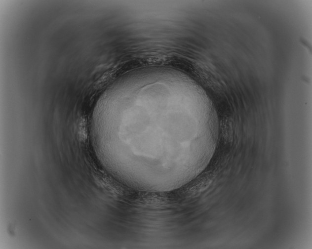 X0000091640962200709131428