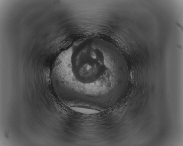 X0000091640963200709131428