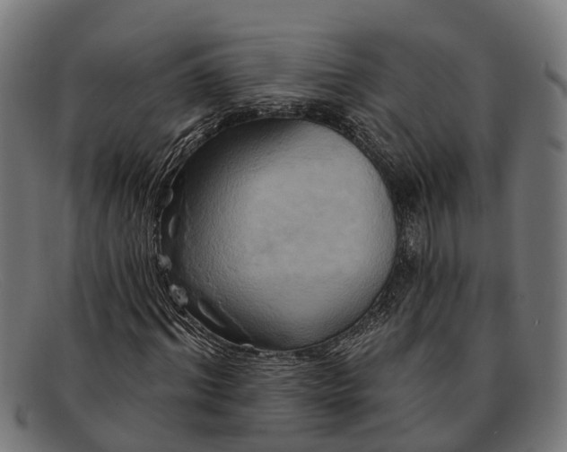 X0000091640964200709131428