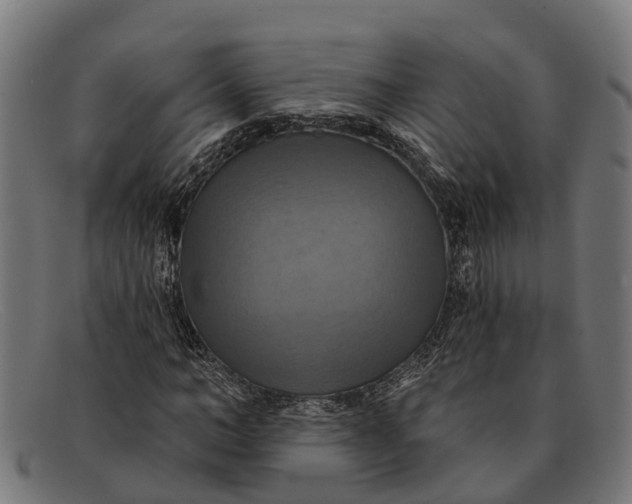 X0000091640966200709131428