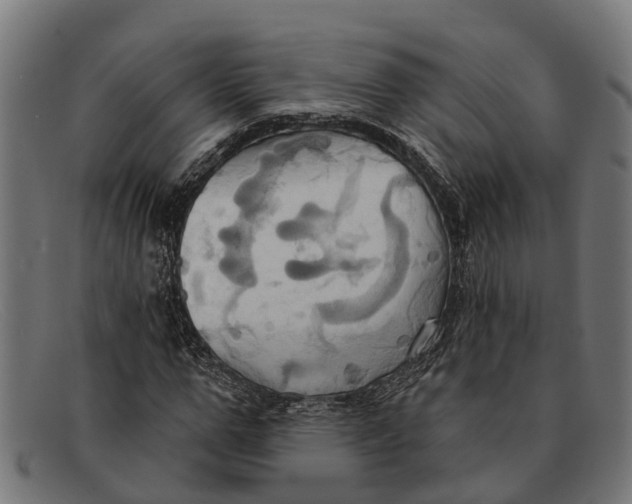 X0000091640967200709131428