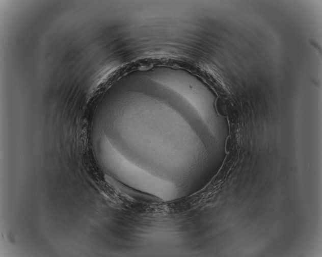X0000091640968200709131428