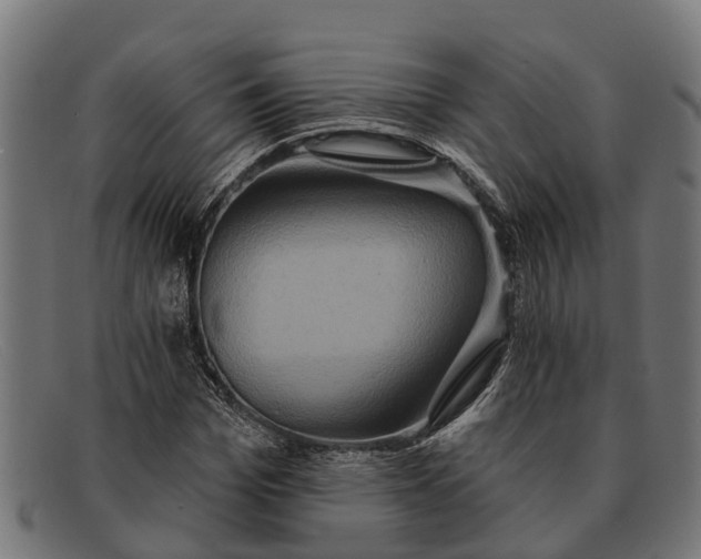 X0000091640969200709131428