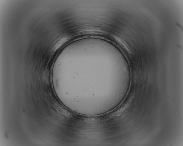 X0000091640970200709131428