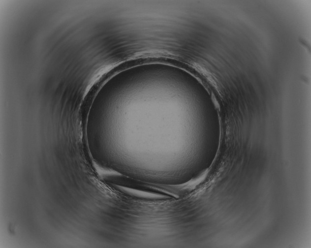 X0000091640973200709131428