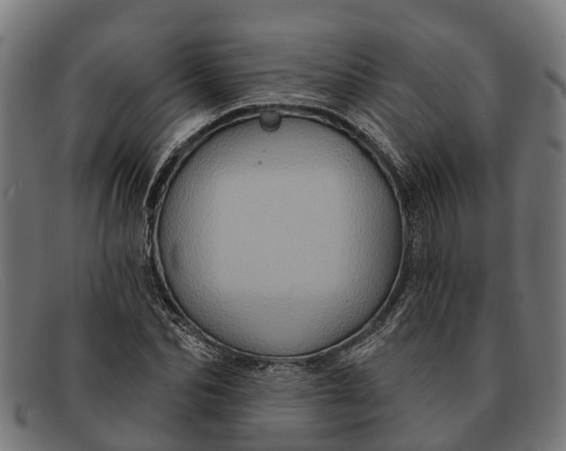 X0000091640974200709131428