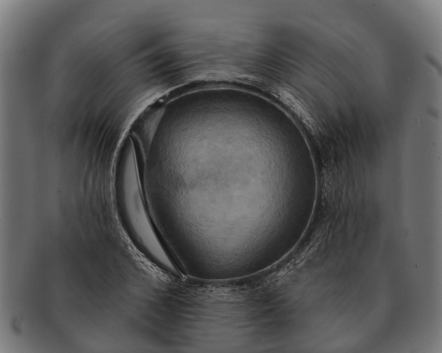 X0000091640976200709131428
