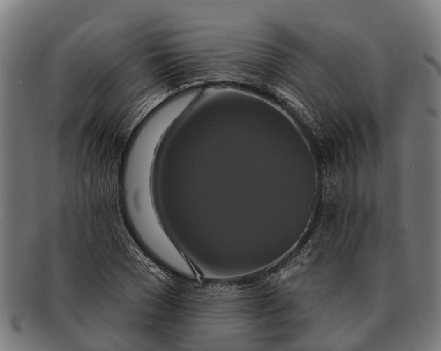 X0000091640977200709131428