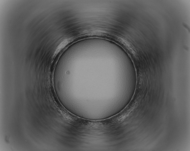 X0000091640978200709131428