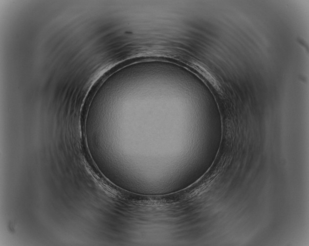 X0000091640980200709131428