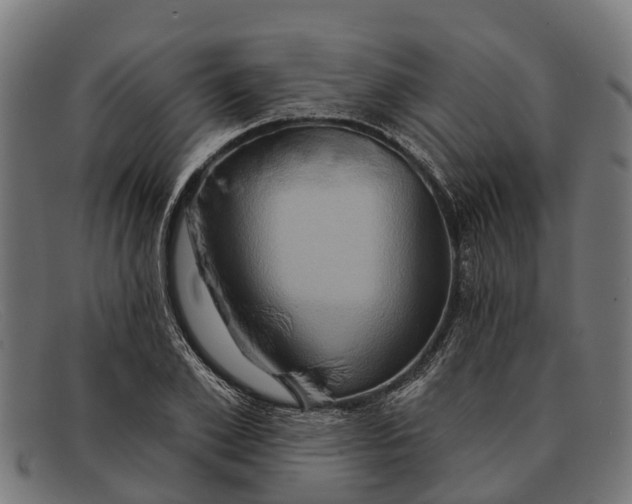 X0000091640981200709131428