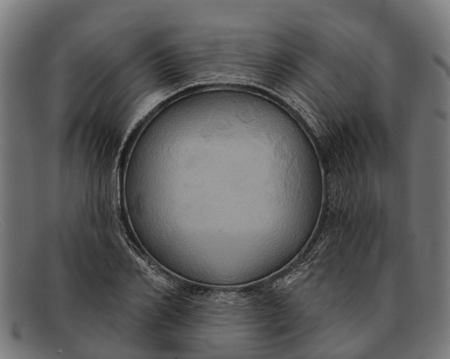 X0000091640982200709131428