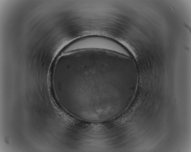 X0000091640983200709131428