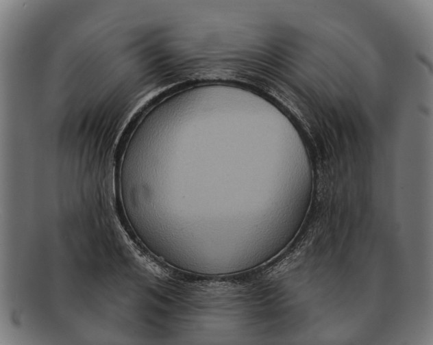 X0000091640984200709131428