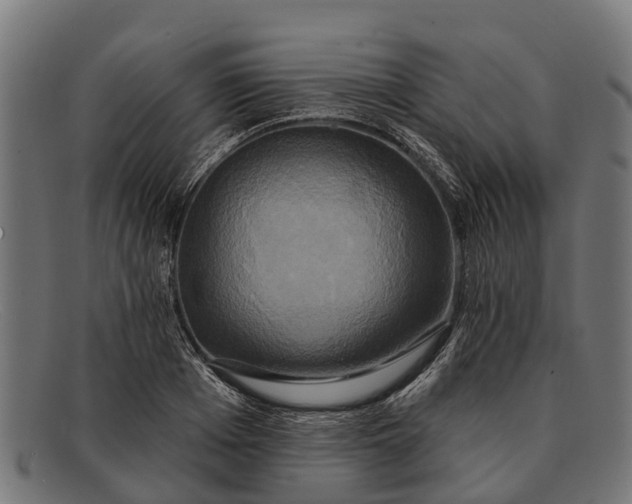 X0000091640985200709131428