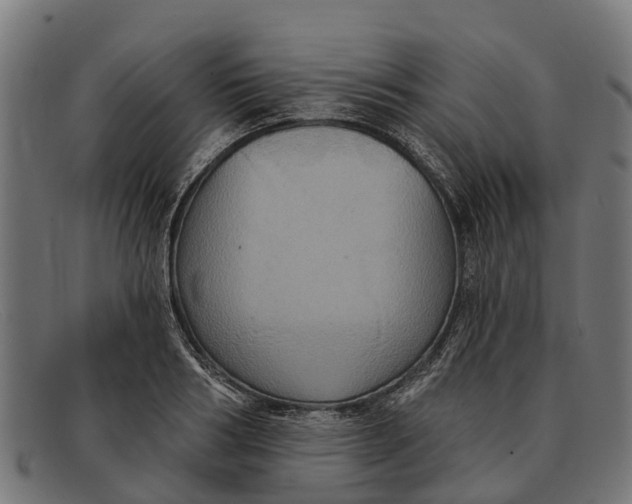 X0000091640986200709131428