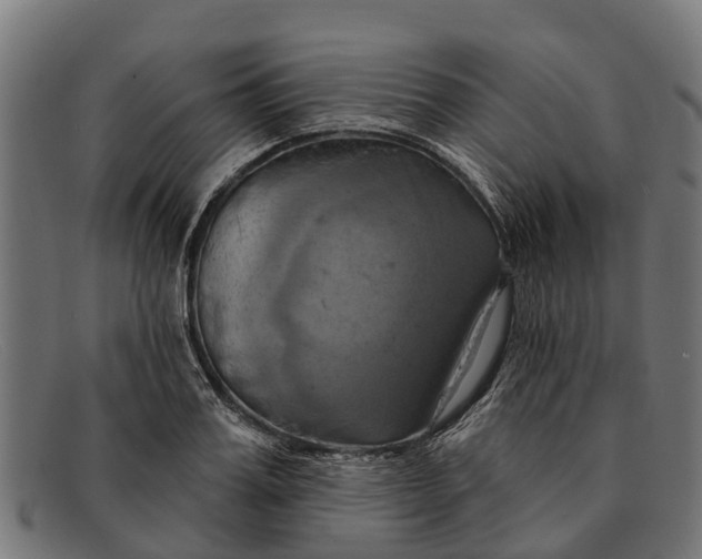 X0000091640987200709131428