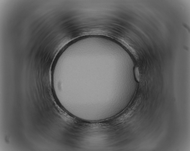 X0000091640988200709131428