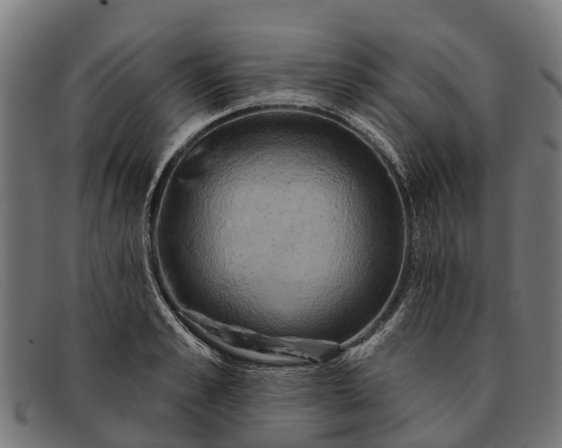 X0000091640989200709131428