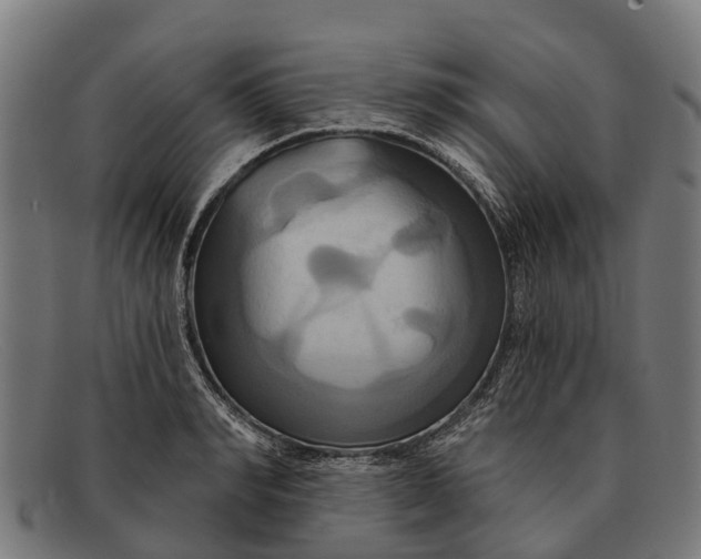 X0000091640990200709131428