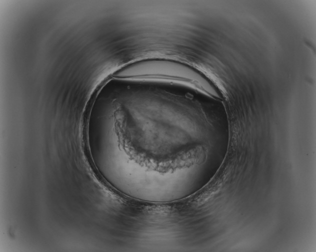 X0000091640991200709131428