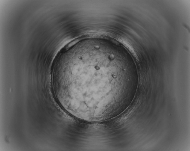 X0000091640992200709131428