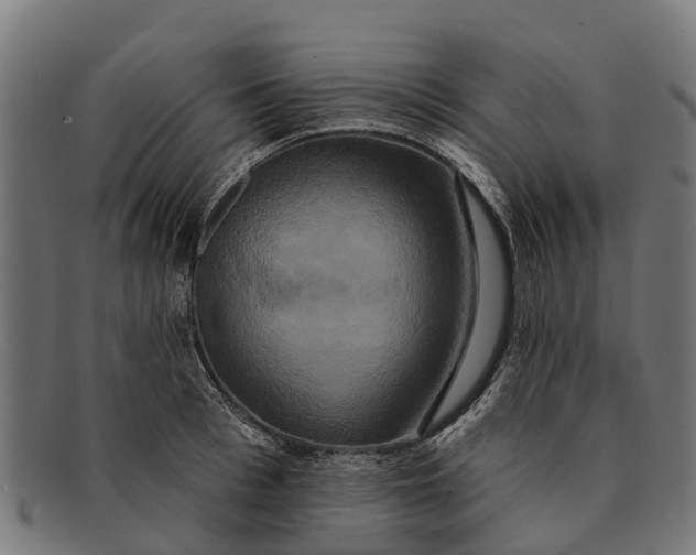 X0000091640993200709131428