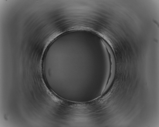 X0000091640995200709131428