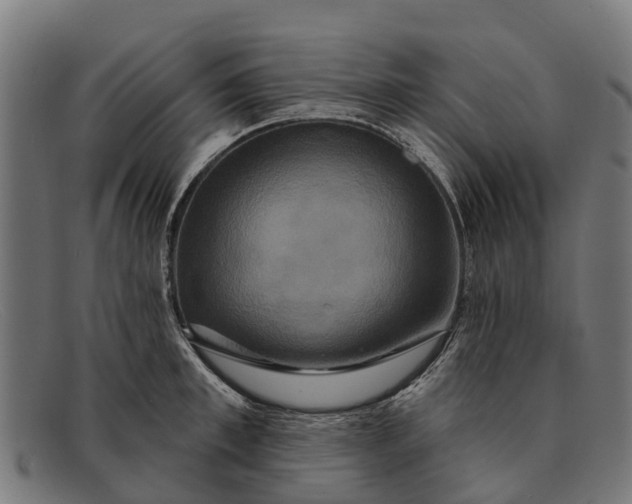 X0000091640997200709131427