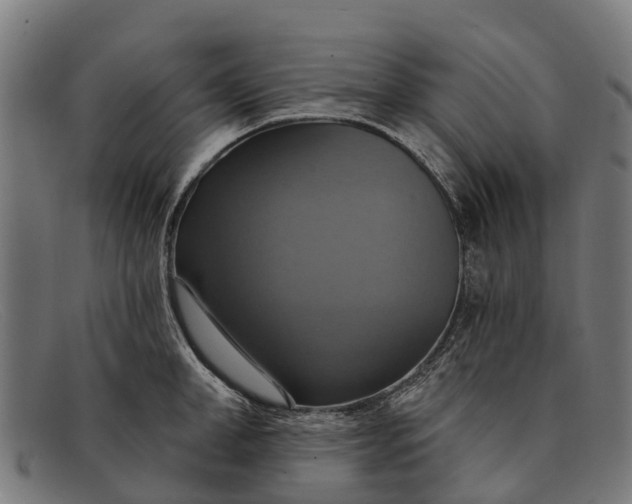 X0000091640998200709131427
