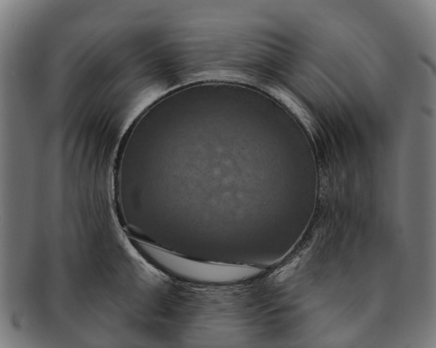 X0000091640999200709131427